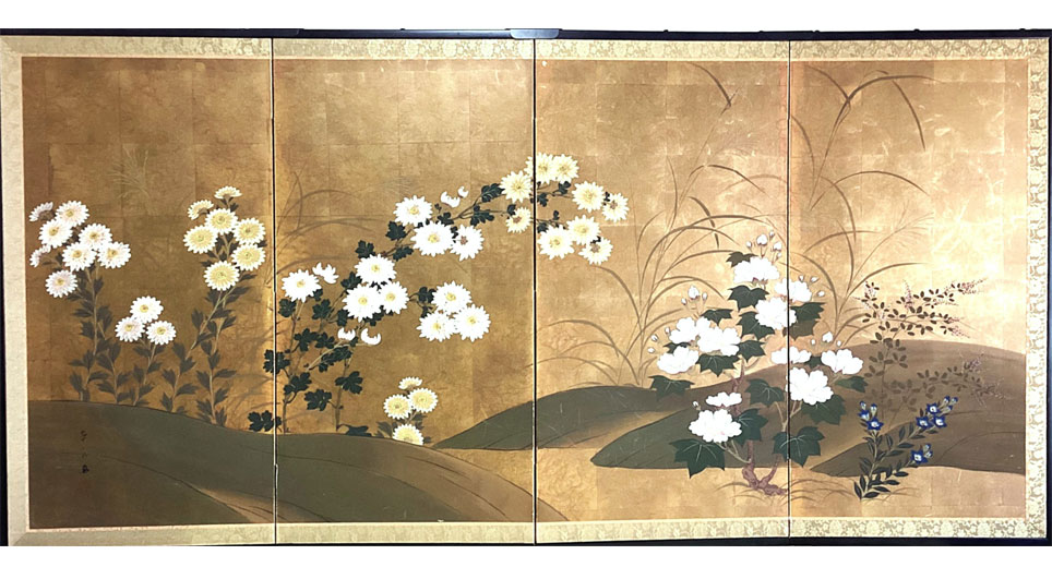 菊花-Chrysanthemum-