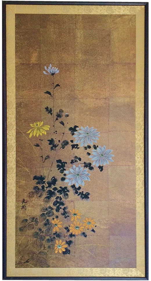 黄菊－Chrysanthemum－